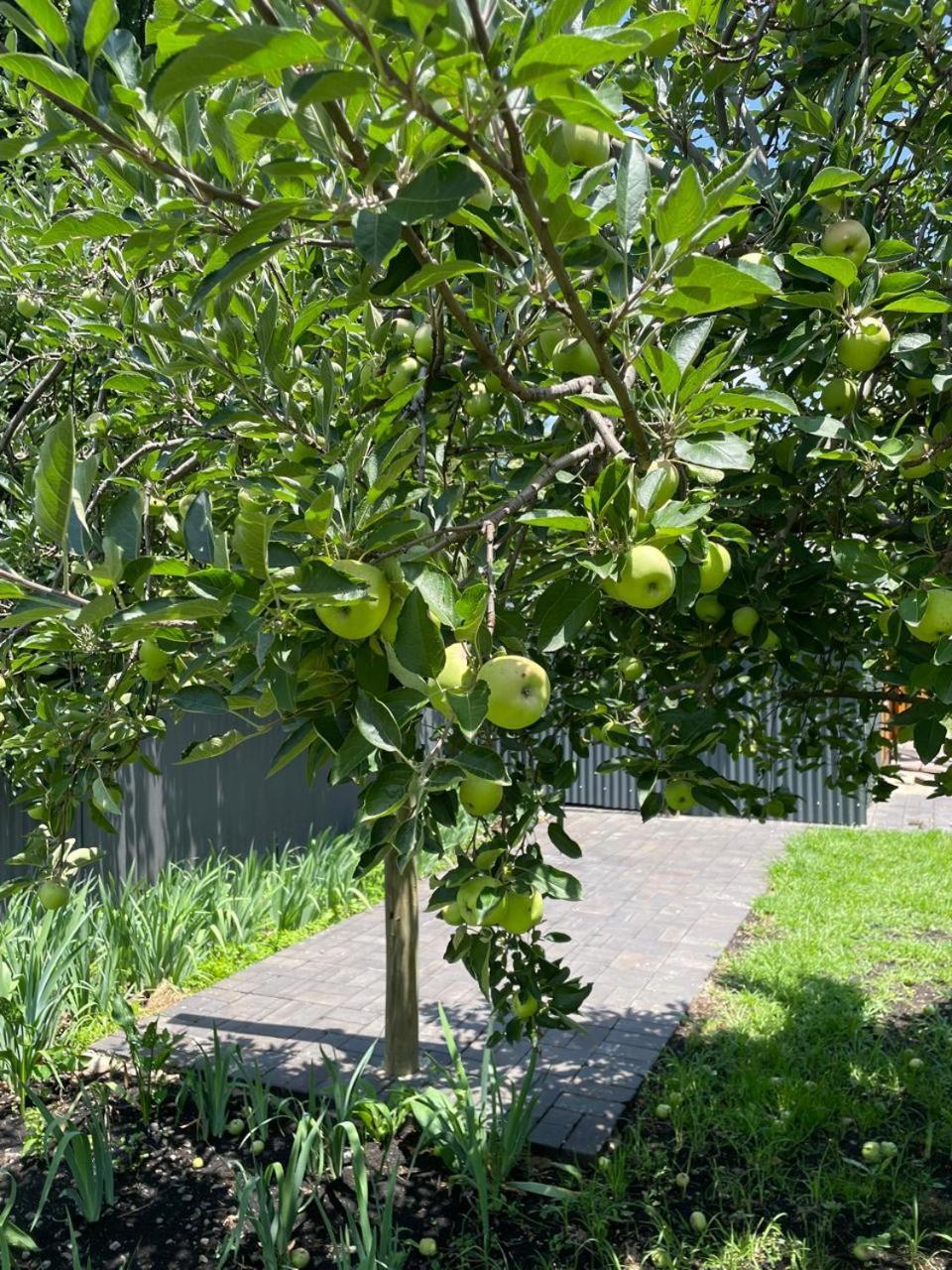 Periwinkle, Grove ,Acorn & Sage Cottages Кларенс Екстер'єр фото