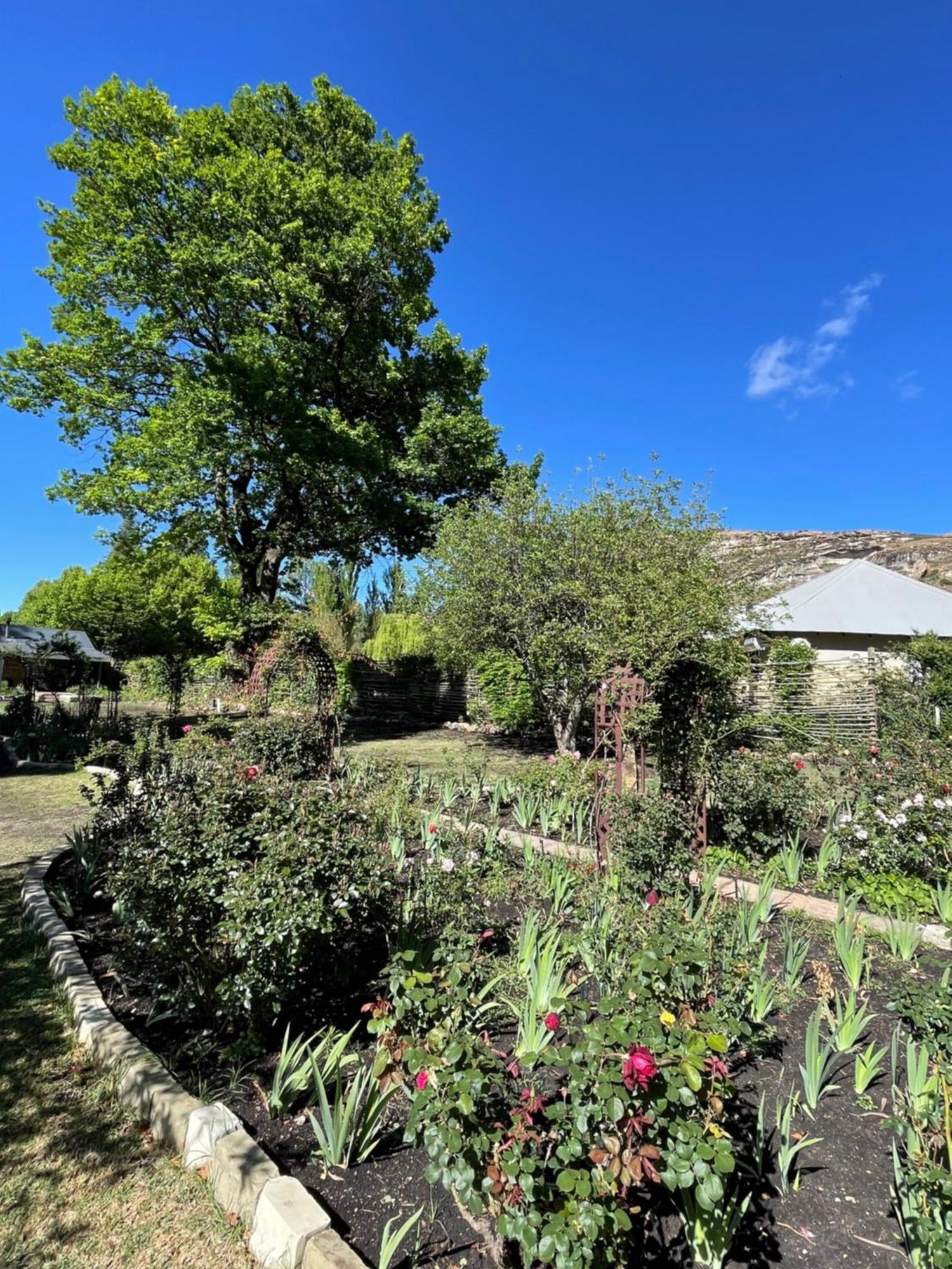 Periwinkle, Grove ,Acorn & Sage Cottages Кларенс Екстер'єр фото